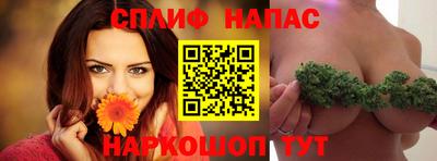 стафф Лесосибирск