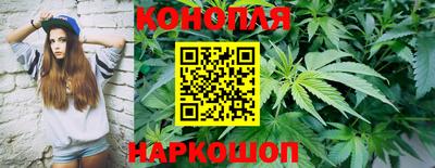 стафф Лесосибирск