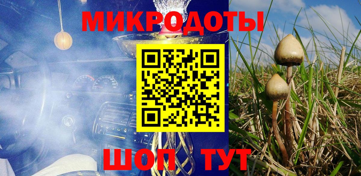 Гагарин  Галлюциногенные грибы прущие грибы  Вход с VPN 