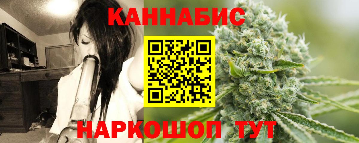 Бошки Шишки планчик Гагарин